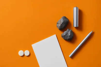 Previous Article Image