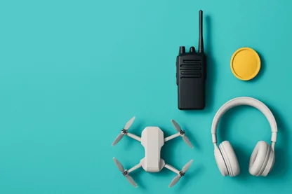 Previous Article Image