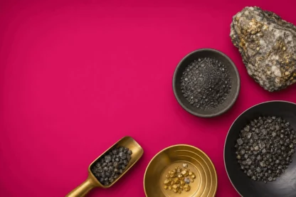 Previous Article Image