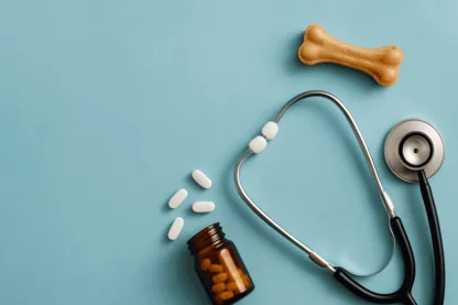 Previous Article Image