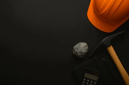 Previous Article Image