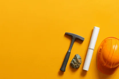 Previous Article Image