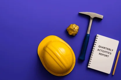 Previous Article Image