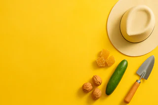 Duxton Farms Unveils $149M Merger and $4M Placement to Expand Agricultural Empire