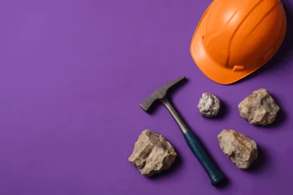 Previous Article Image