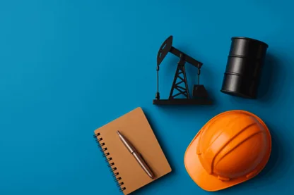 Previous Article Image