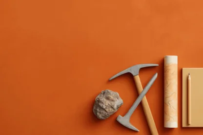 Previous Article Image