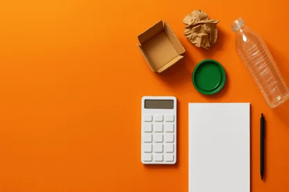 Previous Article Image