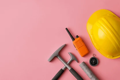 Previous Article Image