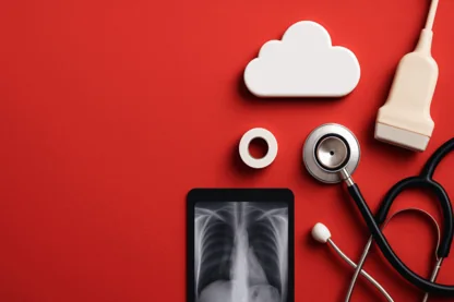 Previous Article Image