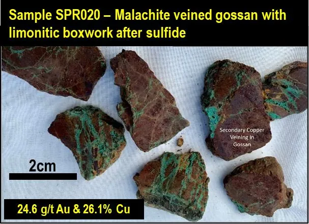 Mullock sample of malachite veined gossan with limonitic boxwork after sulfide (Sample SPR020) (ASX: SLZ 20 May 2020)