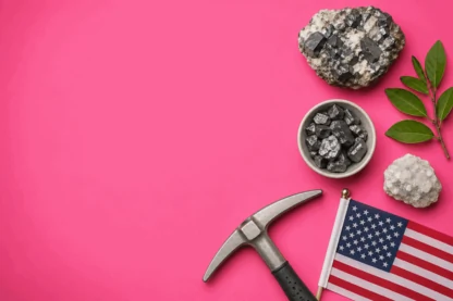 Previous Article Image