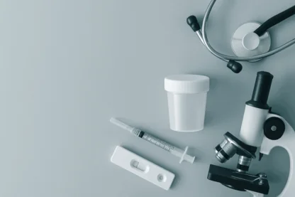 Previous Article Image