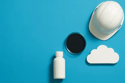 Previous Article Image