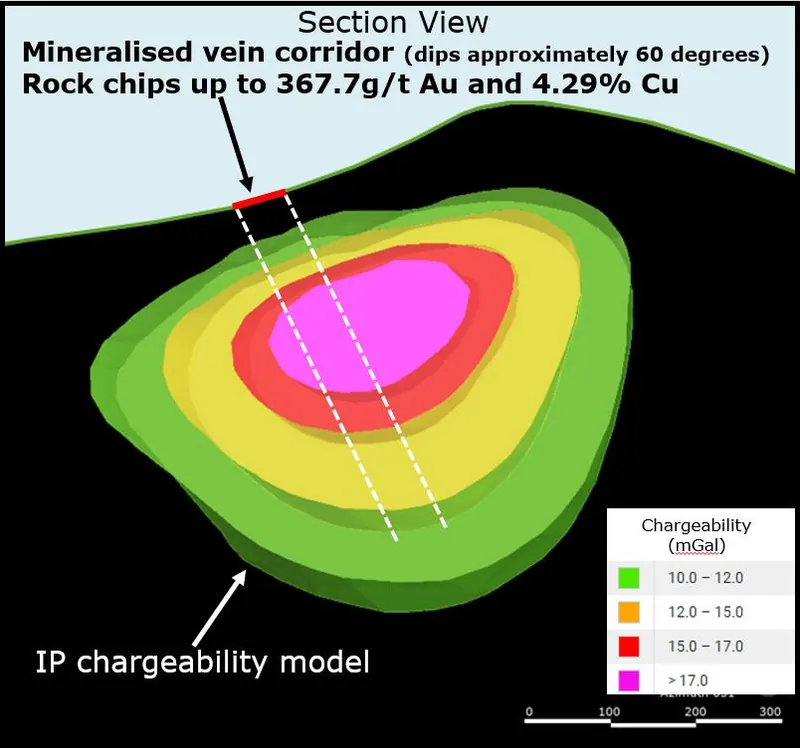 Schematic section looking northeast at Ubei. The Puma vein corridor projects down dip into a substantial chargeability high which may represent sulphide minera…