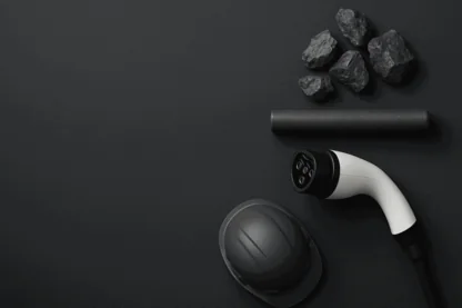 Previous Article Image