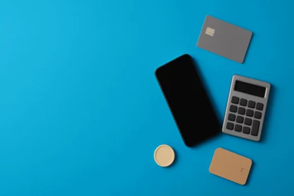 Previous Article Image