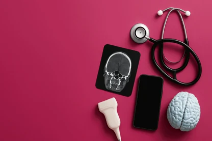 Previous Article Image