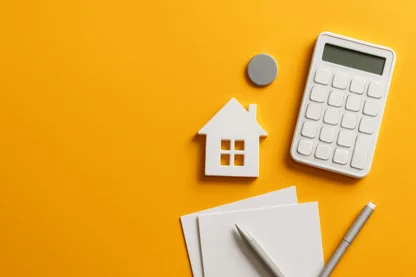 Previous Article Image