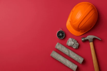 Previous Article Image