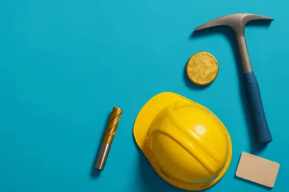 Previous Article Image