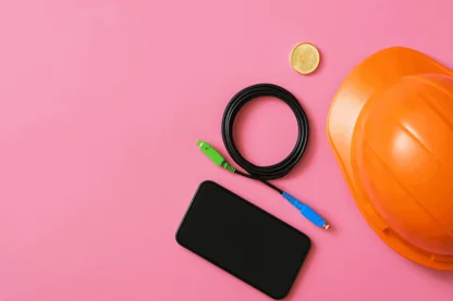 Previous Article Image