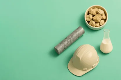 Previous Article Image