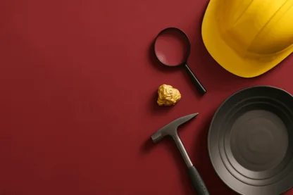 Previous Article Image