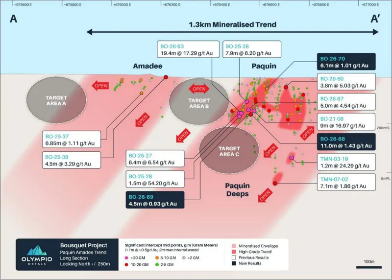 Paquin - Amadee long section (looking north) showing significant gold drill intersections (significant intercepts: ≥1m downhole @ ≥0.5g/t Au, max 2m internal w…