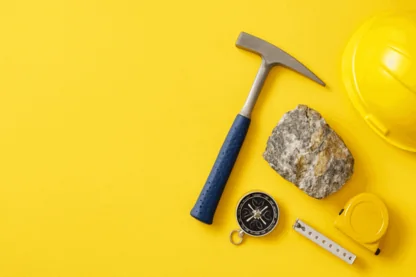 Previous Article Image