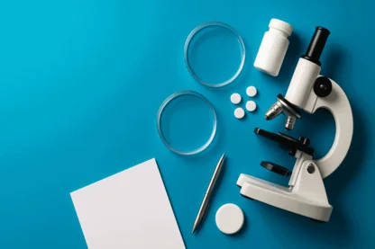 Previous Article Image