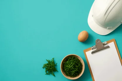 Previous Article Image