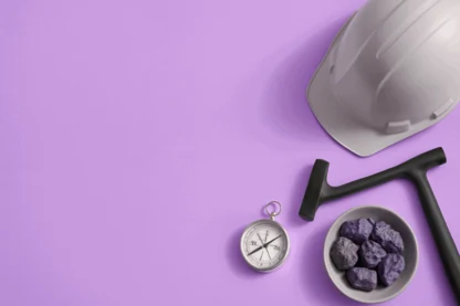 Previous Article Image