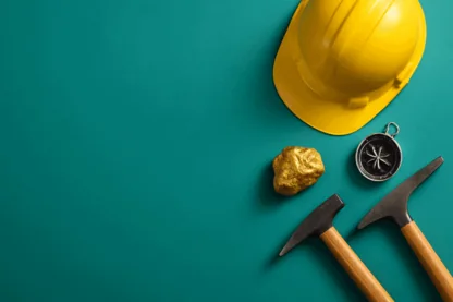 Previous Article Image