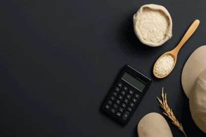 Previous Article Image