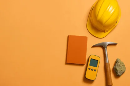 Previous Article Image