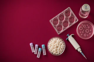 NeuroScientific Advances StemSmart Clinical Program and Manufacturing Scale-Up