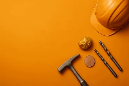 Previous Article Image