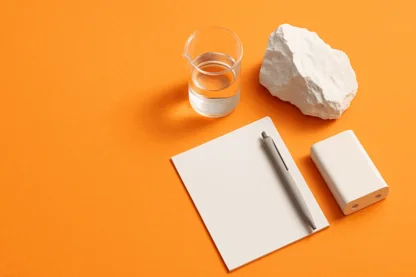 Previous Article Image