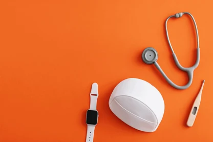 Previous Article Image