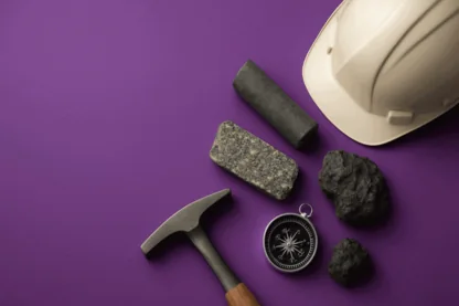 Previous Article Image