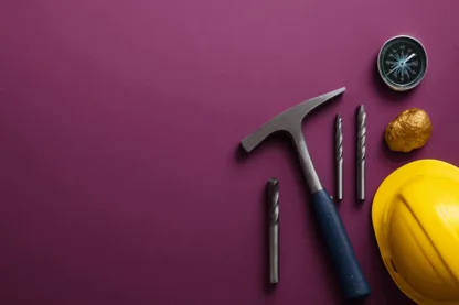 Previous Article Image