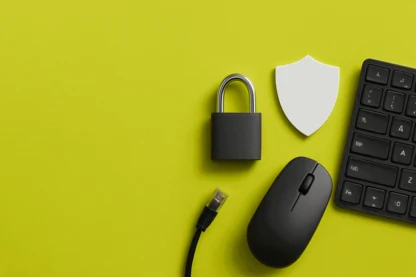 Previous Article Image