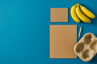Papyrus Breaks New Ground with Banana Fibre Boards and Vietnam JV Progress