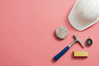 Previous Article Image