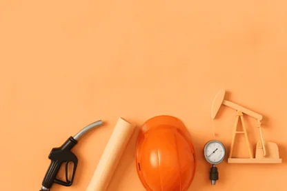 Previous Article Image