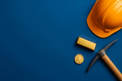 Previous Article Image