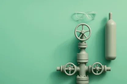 Previous Article Image