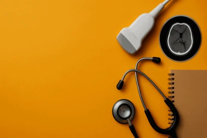 Previous Article Image