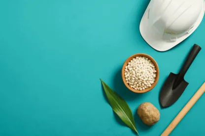 Previous Article Image